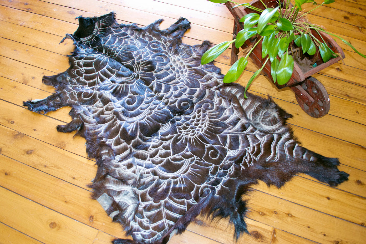 Carved Rug Collection
